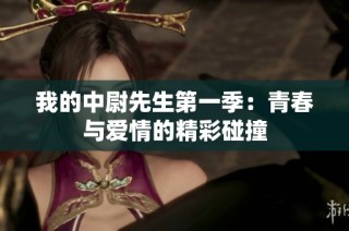 我的中尉先生第一季：青春与爱情的精彩碰撞