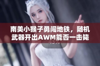 南美小猴子勇闯地铁，随机武器开出AWM能否一击毙命？