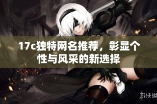 17c独特网名推荐，彰显个性与风采的新选择