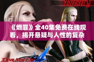 《燃罪》全40集免费在线观看，揭开悬疑与人性的复杂交织