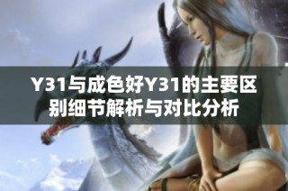 Y31与成色好Y31的主要区别细节解析与对比分析