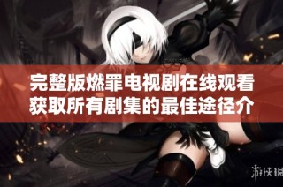 完整版燃罪电视剧在线观看获取所有剧集的最佳途径介绍
