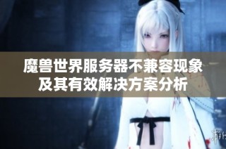 魔兽世界服务器不兼容现象及其有效解决方案分析