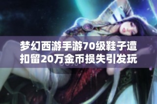 梦幻西游手游70级鞋子遭扣留20万金币损失引发玩家热议