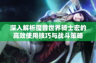 深入解析魔兽世界骑士宏的高效使用技巧与战斗策略