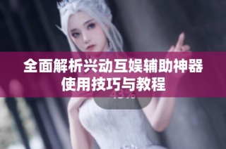 全面解析兴动互娱辅助神器使用技巧与教程