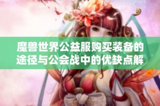 魔兽世界公益服购买装备的途径与公会战中的优缺点解析