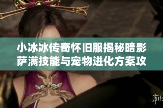小冰冰传奇怀旧服揭秘暗影萨满技能与宠物进化方案攻略