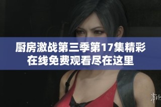 厨房激战第三季第17集精彩在线免费观看尽在这里