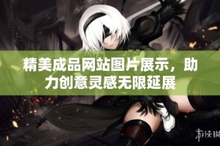 精美成品网站图片展示，助力创意灵感无限延展
