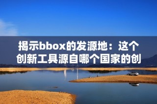揭示bbox的发源地：这个创新工具源自哪个国家的创意之中