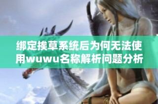 绑定挨草系统后为何无法使用wuwu名称解析问题分析