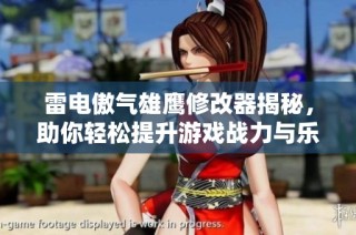雷电傲气雄鹰修改器揭秘，助你轻松提升游戏战力与乐趣