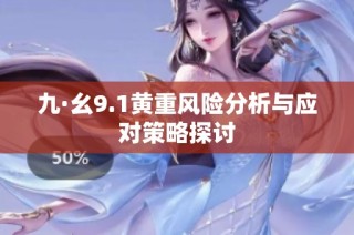 九·幺9.1黄重风险分析与应对策略探讨