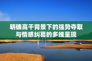明确高干背景下的强势夺取与情感纠葛的多维呈现