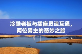 冷酷老板与插座灵魂互通，两位男主的奇妙之旅