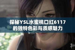 探秘YSL水蜜桃口红6117的独特色彩与质感魅力