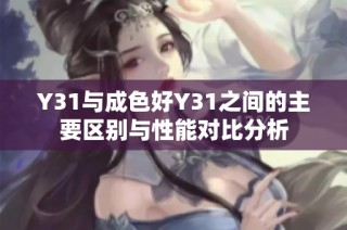 Y31与成色好Y31之间的主要区别与性能对比分析