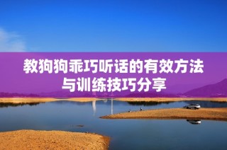 教狗狗乖巧听话的有效方法与训练技巧分享