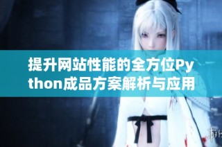 提升网站性能的全方位Python成品方案解析与应用技巧分享