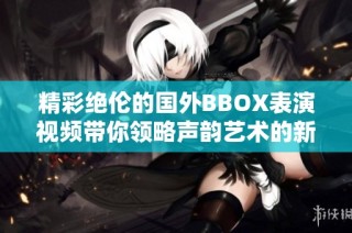 精彩绝伦的国外BBOX表演视频带你领略声韵艺术的新境界