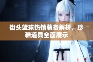 街头篮球热情装备解析，珍稀道具全面展示