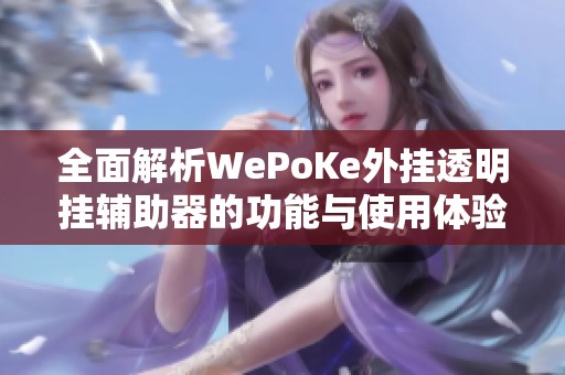 全面解析WePoKe外挂透明挂辅助器的功能与使用体验 全面解析WePoKe外挂透明挂辅助器的功能与使用体验