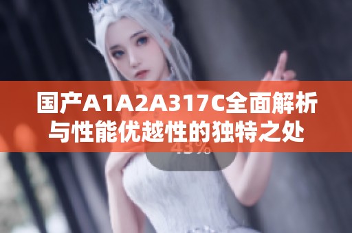 国产A1A2A317C全面解析与性能优越性的独特之处 国产A1A2A317C全面解析与性能优越性的独特之处