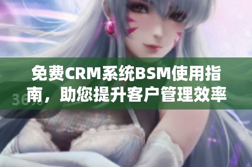 免费CRM系统BSM使用指南,助您提升客户管理效率 免费CRM系统BSM使用指南,助您提升客户管理效率