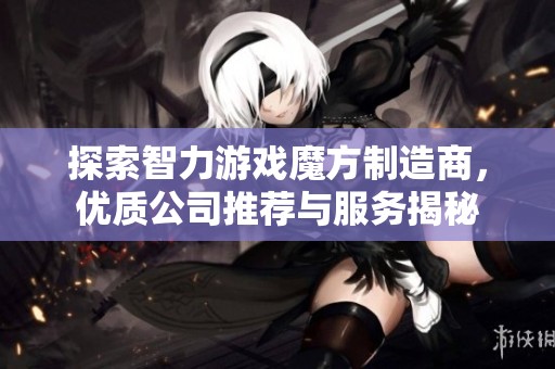探索智力游戏魔方制造商，优质公司推荐与服务揭秘