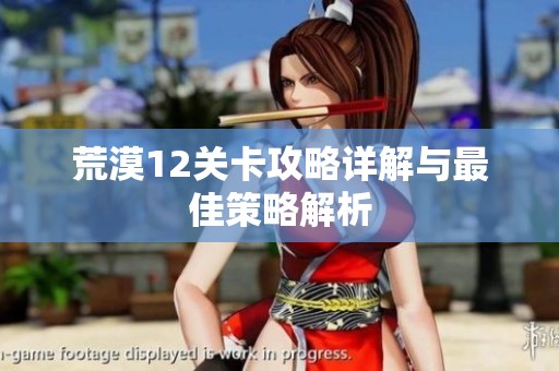 荒漠12关卡攻略详解与最佳策略解析