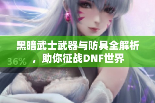 黑暗武士武器与防具全解析，助你征战DNF世界
