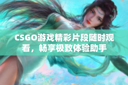 CSGO游戏精彩片段随时观看，畅享极致体验助手
