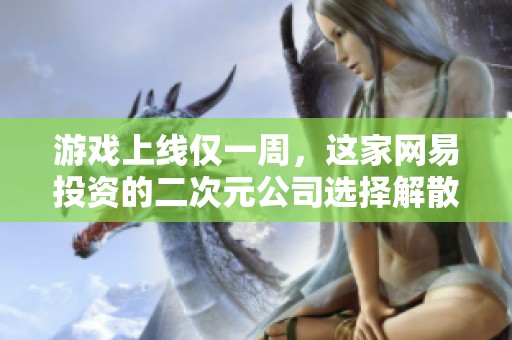游戏上线仅一周，这家网易投资的二次元公司选择解散令人大跌眼镜