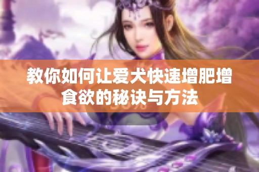 教你如何让爱犬快速增肥增食欲的秘诀与方法