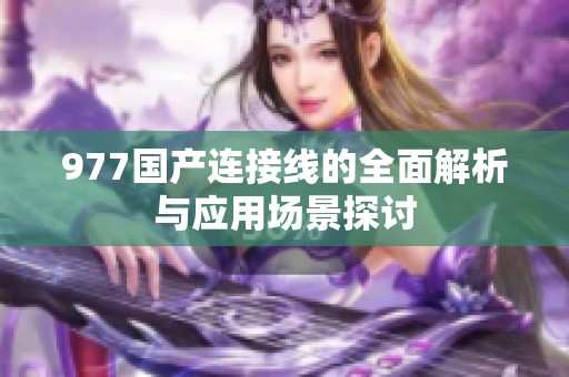 977国产连接线的全面解析与应用场景探讨