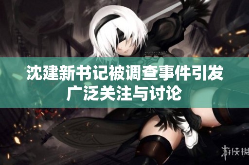 沈建新书记被调查事件引发广泛关注与讨论
