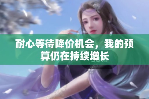 耐心等待降价机会，我的预算仍在持续增长