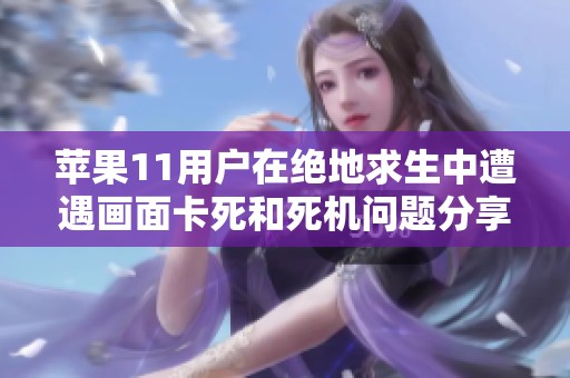 苹果11用户在绝地求生中遭遇画面卡死和死机问题分享