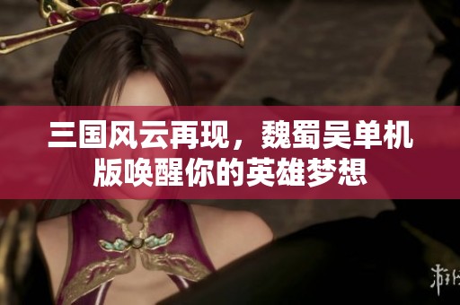 三国风云再现，魏蜀吴单机版唤醒你的英雄梦想