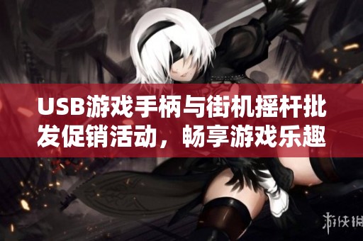 USB游戏手柄与街机摇杆批发促销活动，畅享游戏乐趣