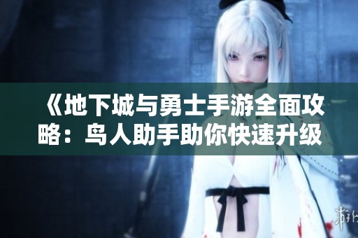《地下城与勇士手游全面攻略：鸟人助手助你快速升级》