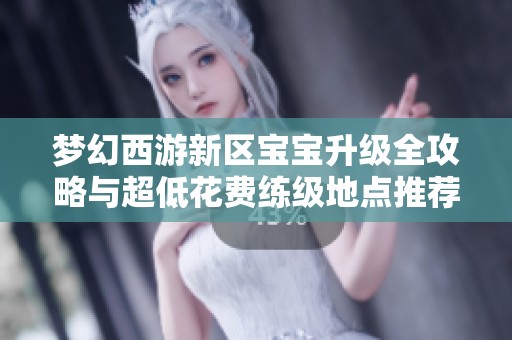 梦幻西游新区宝宝升级全攻略与超低花费练级地点推荐