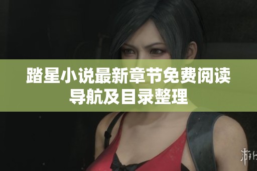 踏星小说最新章节免费阅读导航及目录整理