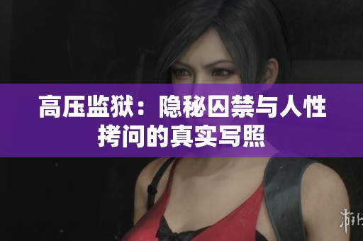 高压监狱：隐秘囚禁与人性拷问的真实写照
