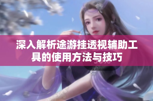 深入解析途游挂透视辅助工具的使用方法与技巧