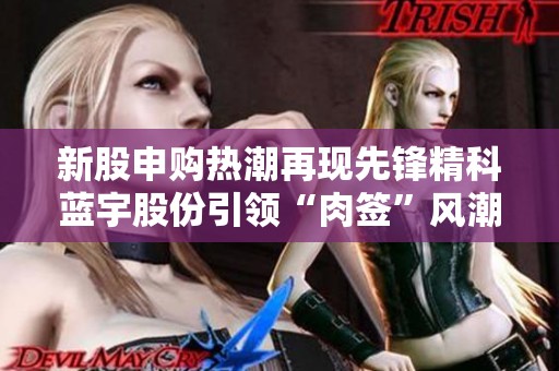 新股申购热潮再现先锋精科蓝宇股份引领“肉签”风潮