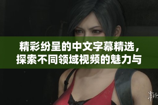 精彩纷呈的中文字幕精选，探索不同领域视频的魅力与乐趣