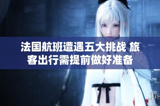 法国航班遭遇五大挑战 旅客出行需提前做好准备