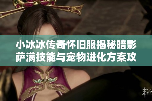 小冰冰传奇怀旧服揭秘暗影萨满技能与宠物进化方案攻略